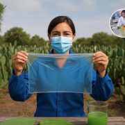 Mexicana convierte nopales en plástico biodegradable para cuidar el ambiente