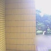 Discusión mortal con su novio: joven cae de un edificio