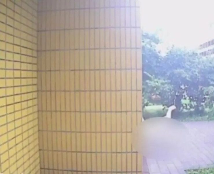 Discusión mortal con su novio: joven cae de un edificio