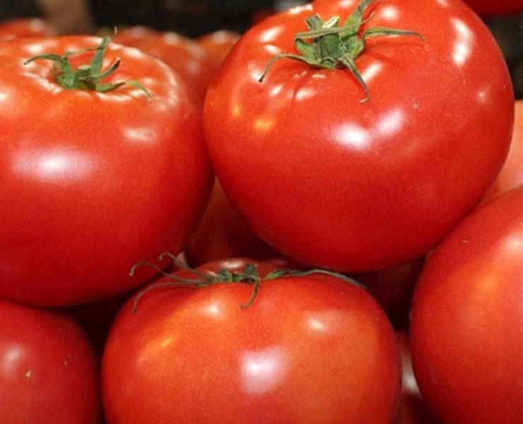 EU impone arancel del 17 al jitomate mexicano