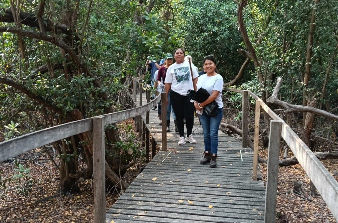 Roban maderas del muelle del Ecosendero Interpretativo La Caleta