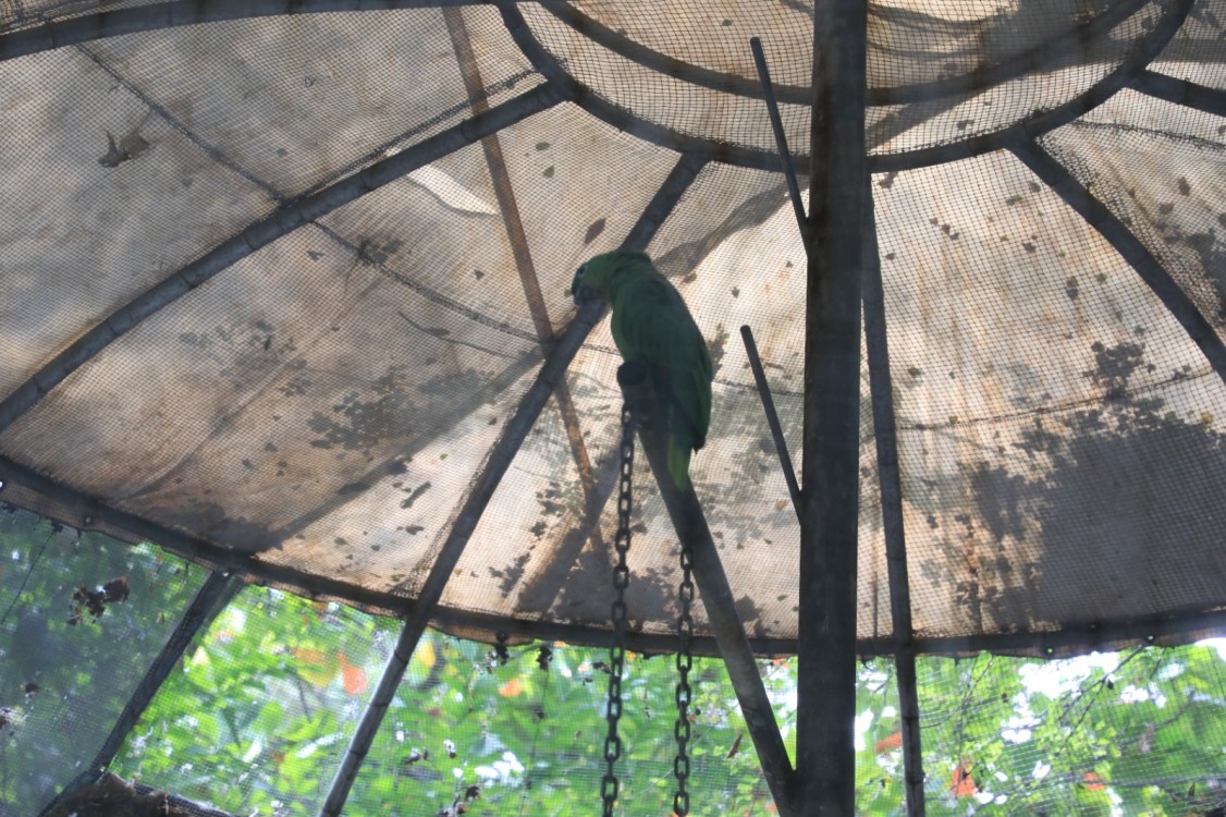 El Gobernador del Estado Javier May Rodríguez