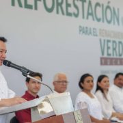 En Yucatán, avanza la estrategia del Renacimiento Verde