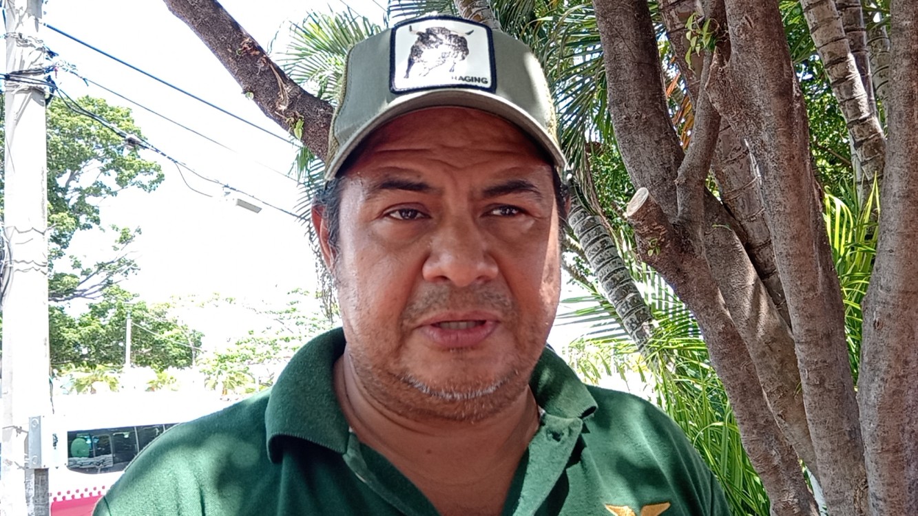 Con moscas estériles combatirán al gusano barrenador