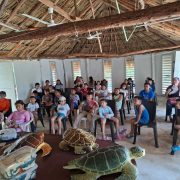 Infancias de Yucatán se convierten en guardianes de tortugas marinas