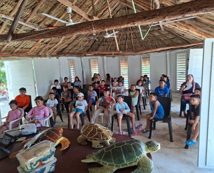 Infancias de Yucatán se convierten en guardianes de tortugas marinas