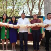 IV Festival de las Serpientes