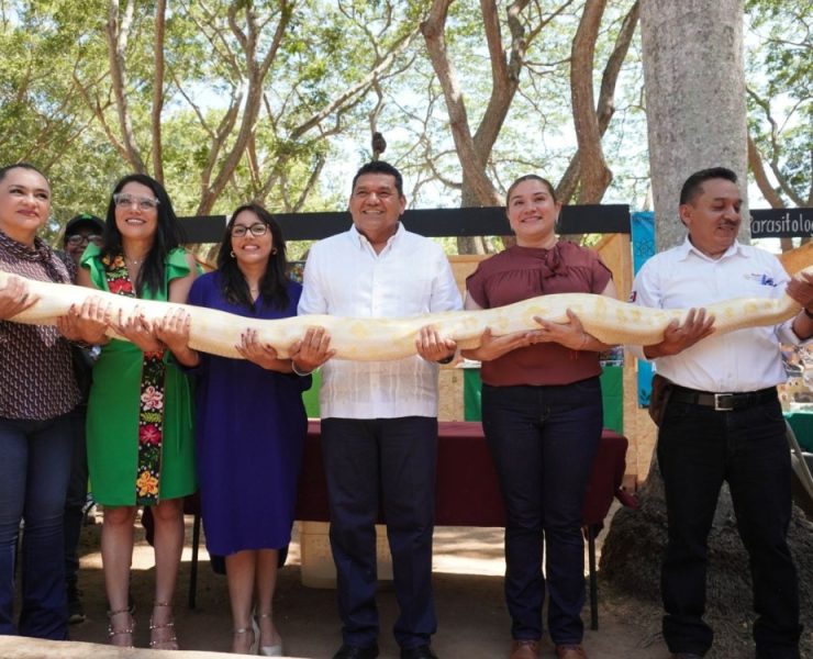 IV Festival de las Serpientes