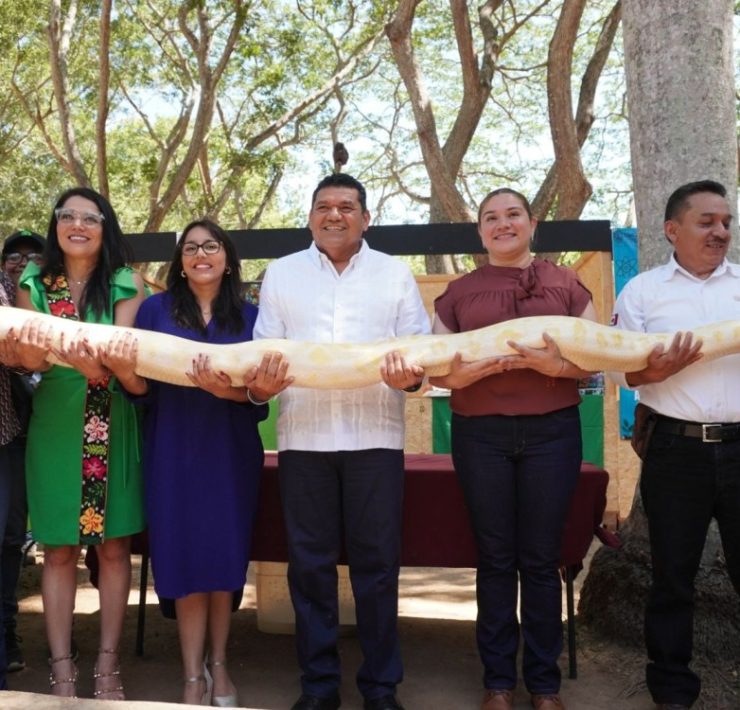 IV Festival de las Serpientes