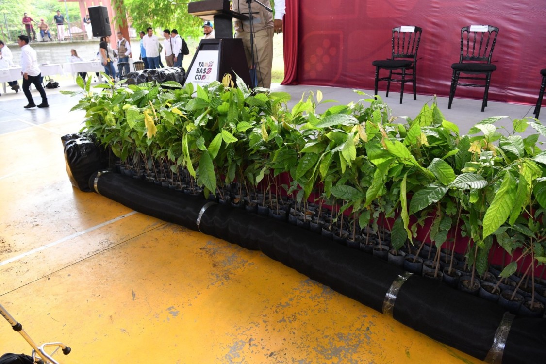 Jornada de Atención al Pueblo