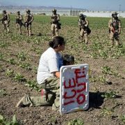 Nueva redada migratoria en California