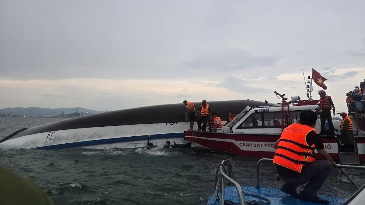 Perfil del barco turístico Wonder Sea