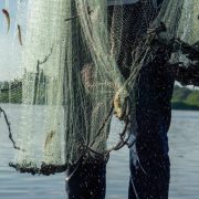 Pescadores están acabando con la pesquería de la Península de Atasta