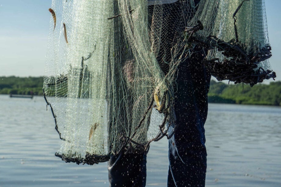 Pescadores están acabando con la pesquería de la Península de Atasta
