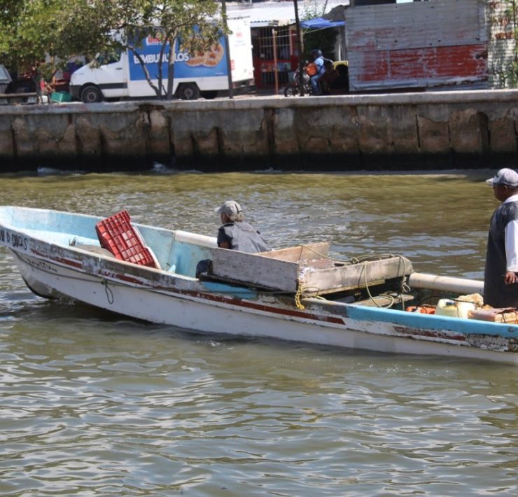 Baja producción pesquera en las costas de Ciudad del Carmen por contaminación