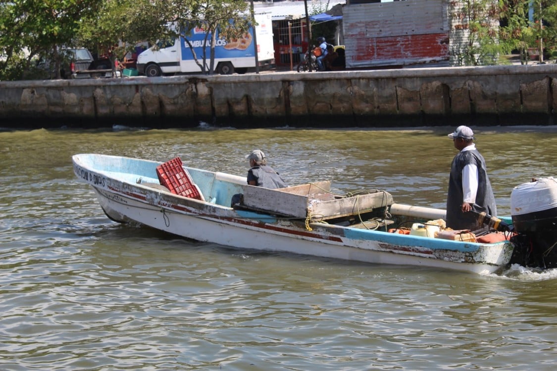 Baja producción pesquera en las costas de Ciudad del Carmen por contaminación