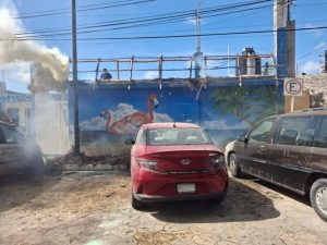 Las llamas consumieron rápidamente la estructura de paja