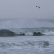 Semar levanta alerta de tsunami tras sismo en costas rusas