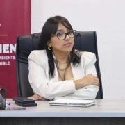 Gobernador de Tabasco recibirá