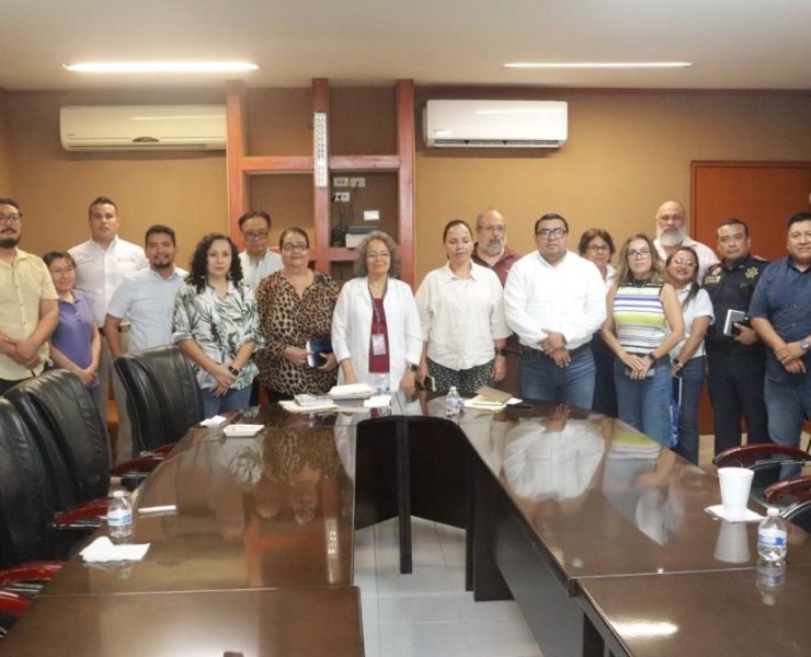 ¡Buenas noticias! Sin indicios de marea roja en Yucatán: la costa sigue libre y segura