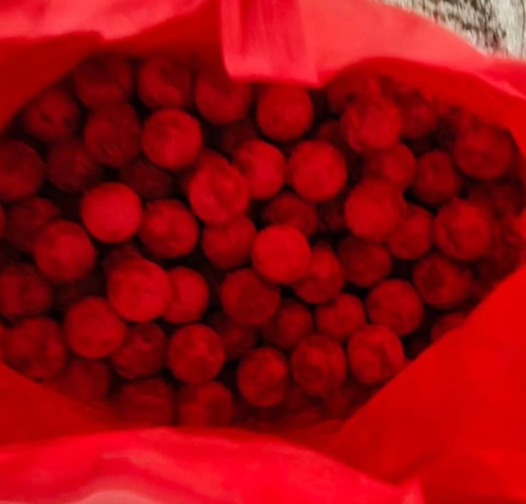 Arriba tortuga de carey para anidar en la zona de Playa Norte