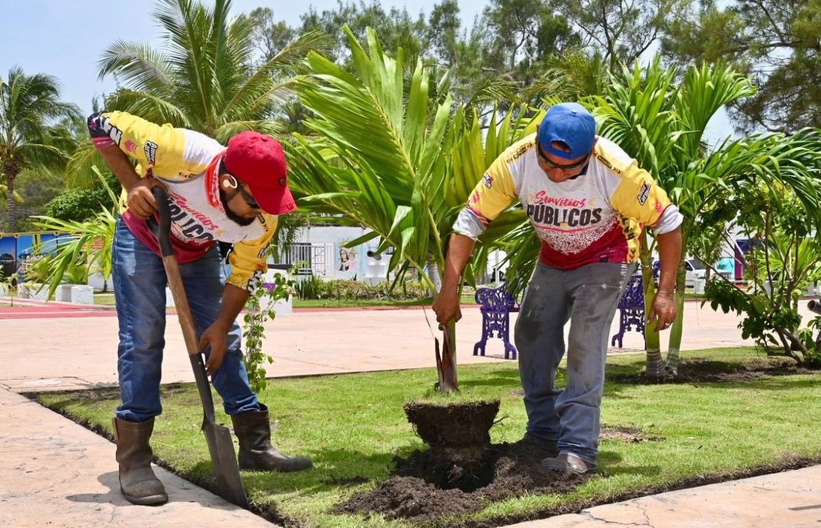 Pleito interno en las direcciones del Ayuntamiento afecta a trabajadores