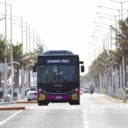 Desesperación y frustración en la Artec