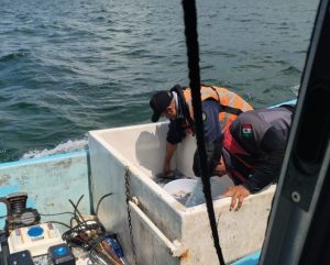 Autoridades estatales y federales aseguraron una embarcación y detuvieron a tres personas por pesca ilegal de pulpo