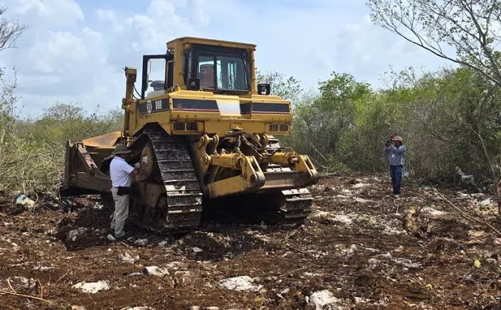 Toleran a inmobiliarias ecocidas que destruyen Cuxtal