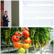 México perfila estrategia integral para blindar a productores de jitomate ante arancel de EUA