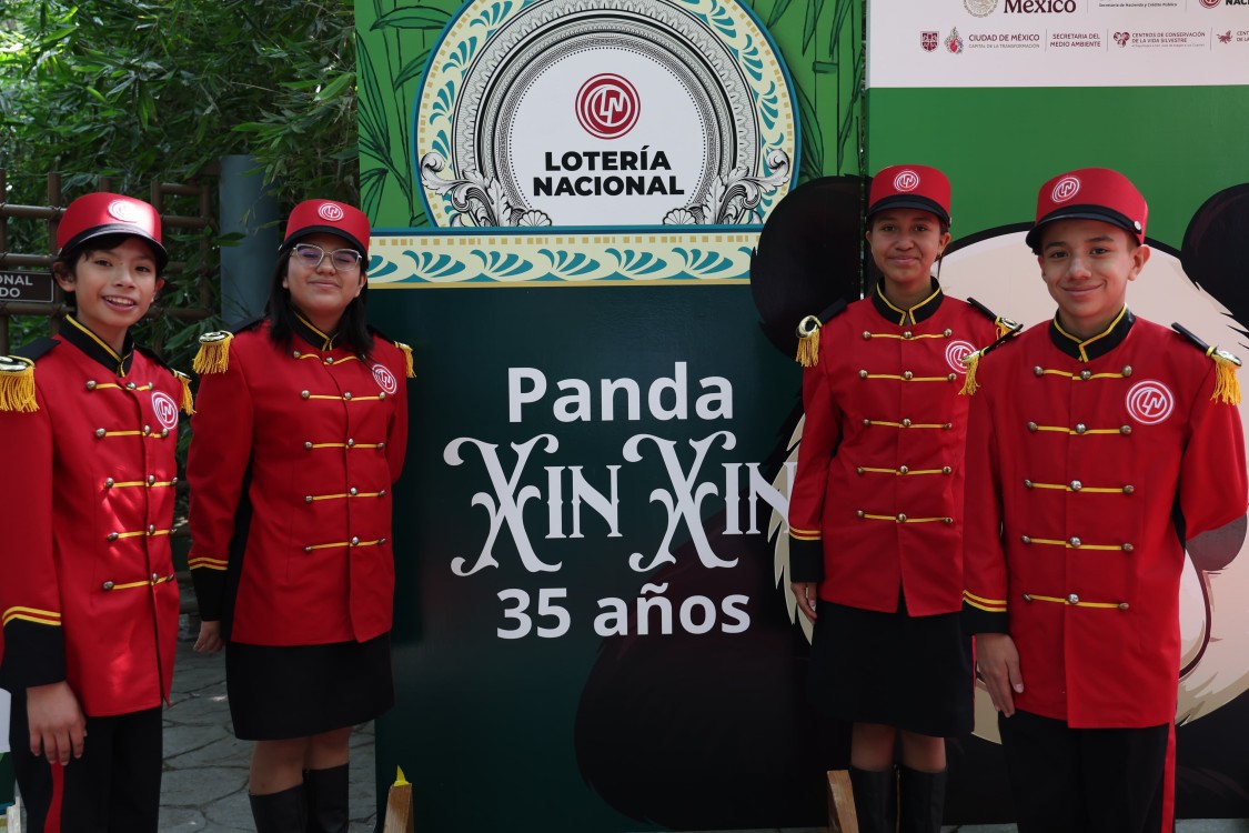 Celebran legado de Xin Xin, panda gigante símbolo de identidad chilanga y conservación ambiental