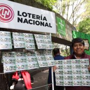 Celebran legado de Xin Xin, panda gigante símbolo de identidad chilanga y conservación ambiental