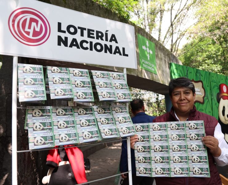 Celebran legado de Xin Xin, panda gigante símbolo de identidad chilanga y conservación ambiental