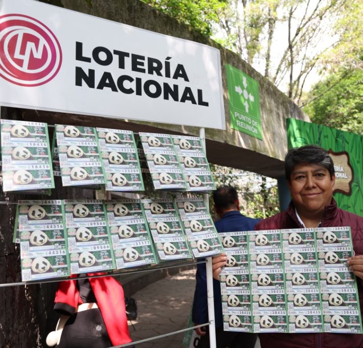 Celebran legado de Xin Xin, panda gigante símbolo de identidad chilanga y conservación ambiental