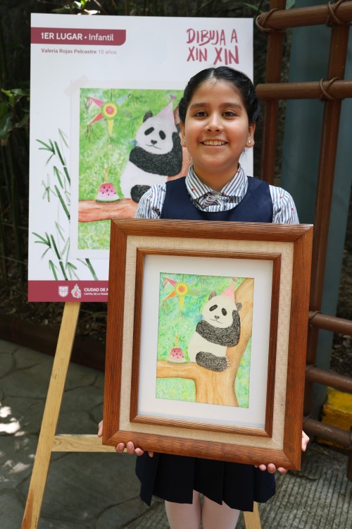 Celebran legado de Xin Xin, panda gigante símbolo de identidad chilanga y conservación ambiental