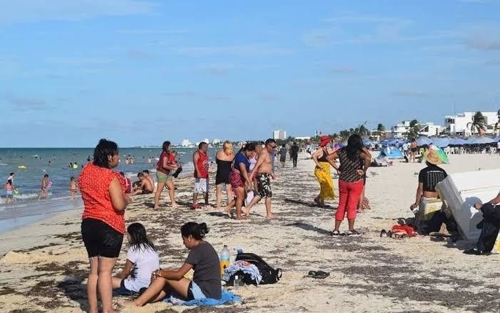 ¡A zambullirse! Cofepris aprueba la buena calidad del agua en la costa yucateca