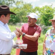  Motul cultiva con el sol: riego solar potencia la producción agrícola