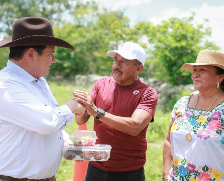  Motul cultiva con el sol: riego solar potencia la producción agrícola