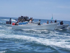 Tres hombres fueron detenidos por elementos de la SSP durante un operativo conjunto con Conapesca y Semar