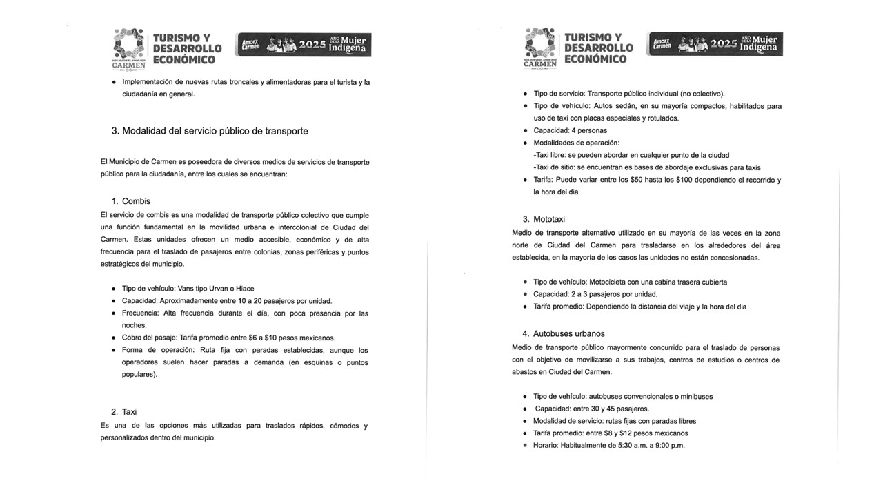 Cabildo aprueba trámite de las concesiones de los camiones Amor Por Carmen