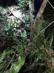 Rescatan a estudiante de la UNAM atrapado en un cenote de Yucatán