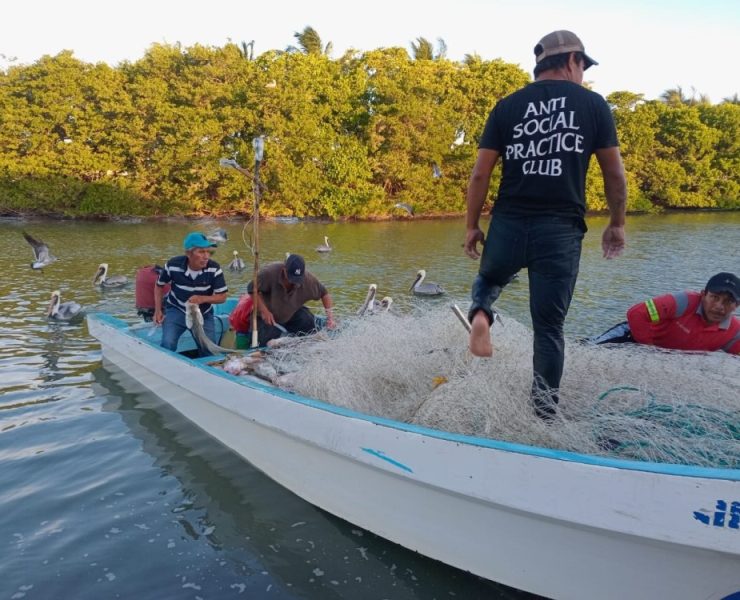 Pescadores ribereños reportan baja captura de escama