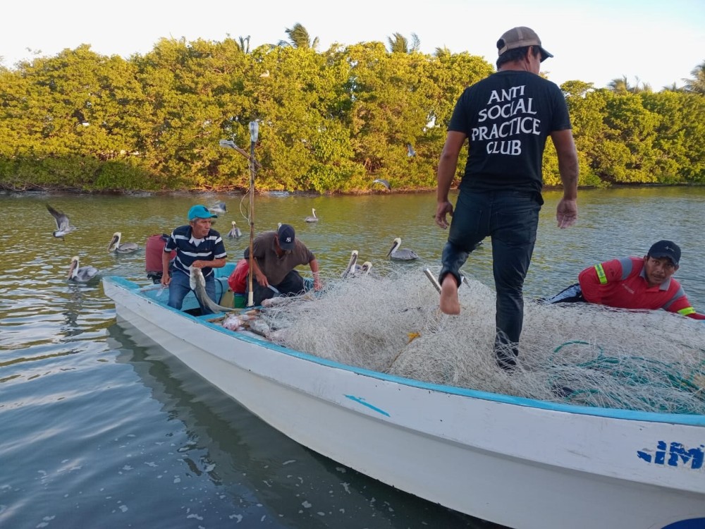 Pescadores ribereños reportan baja captura de escama