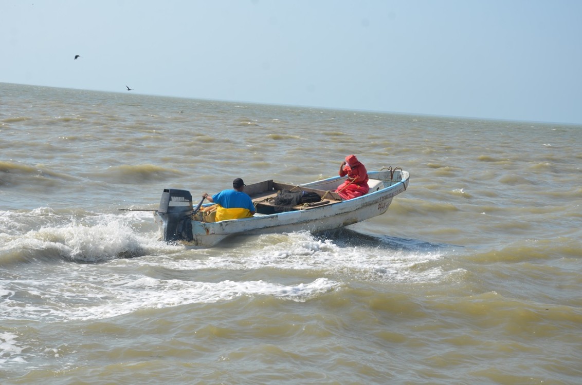 Pescadores ribereños reportan baja captura de escama