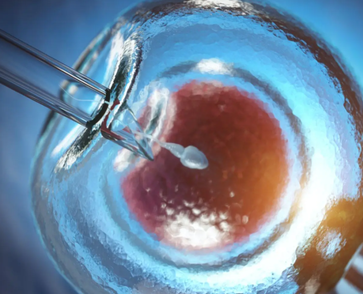 Embrión congelado durante 31 años sorprende al mundo