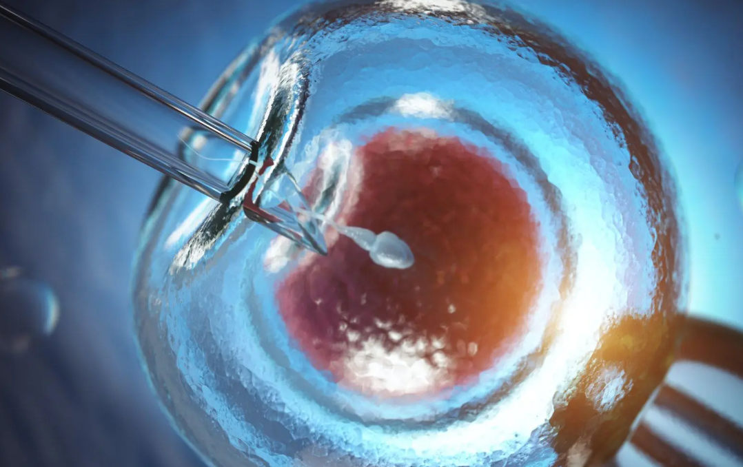 Embrión congelado durante 31 años sorprende al mundo