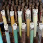 Harvard protege los colores más raros del mundo en una "biblioteca" especial