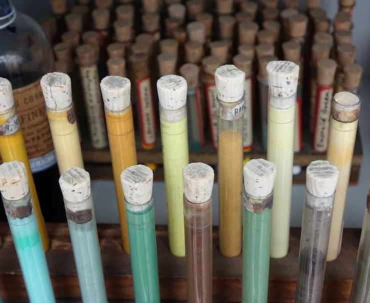 Harvard protege los colores más raros del mundo en una "biblioteca" especial