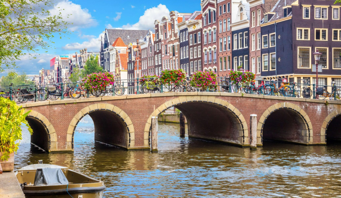 Una inversión por la vida animal