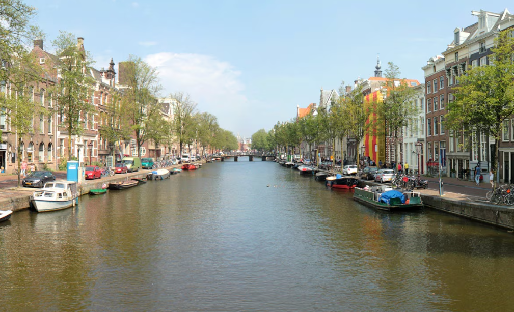 ¿Por qué los gatos necesitan estas escaleras?